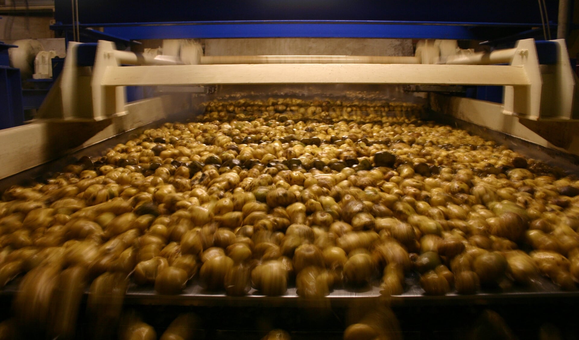 De laatste aardappelen zijn afgelopen weekend verwerkt bij Avebe in Gasselternijveen.