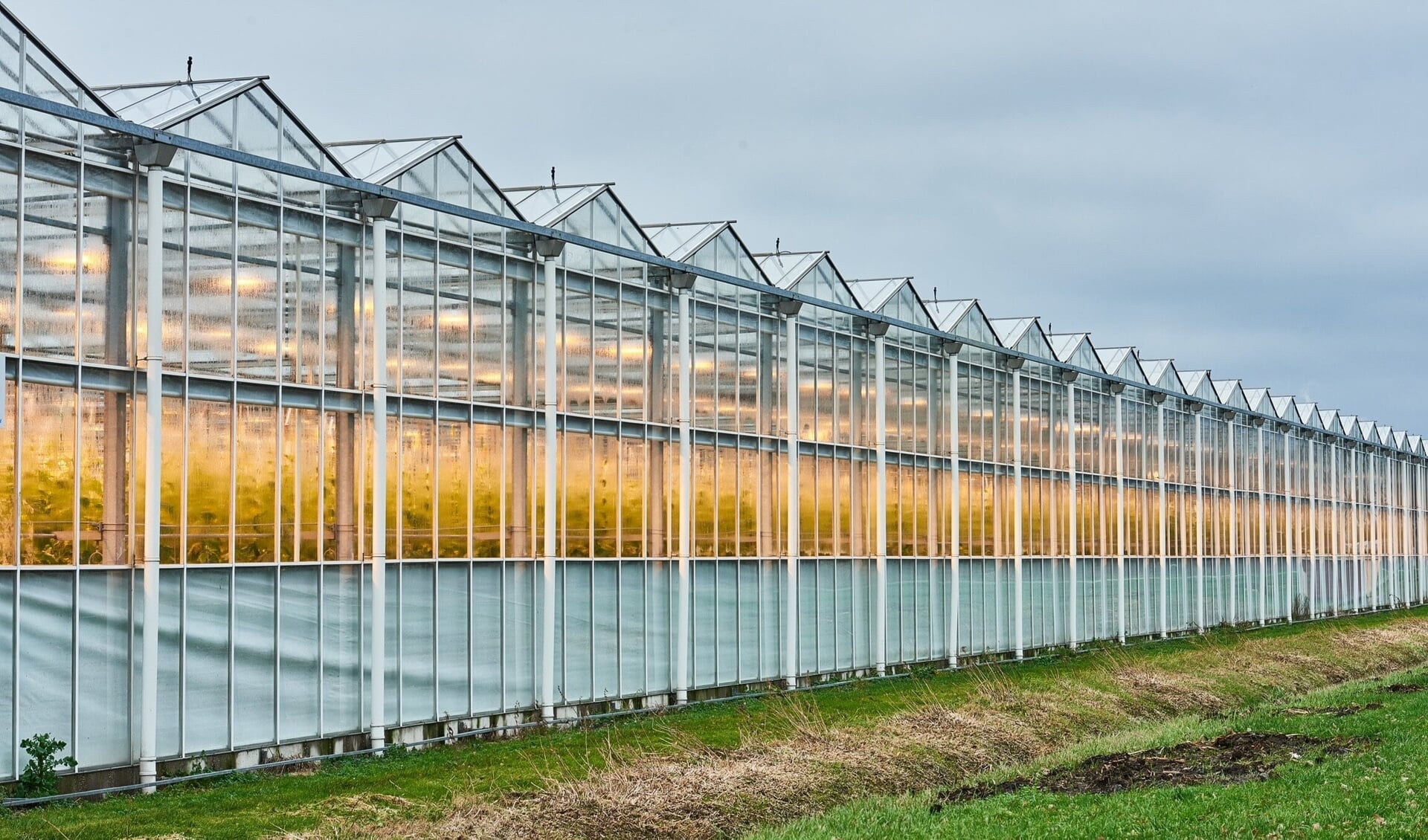 De tuinbouwsector is een belangrijk onderdeel van de economie van Zuidoost-Drenthe. 