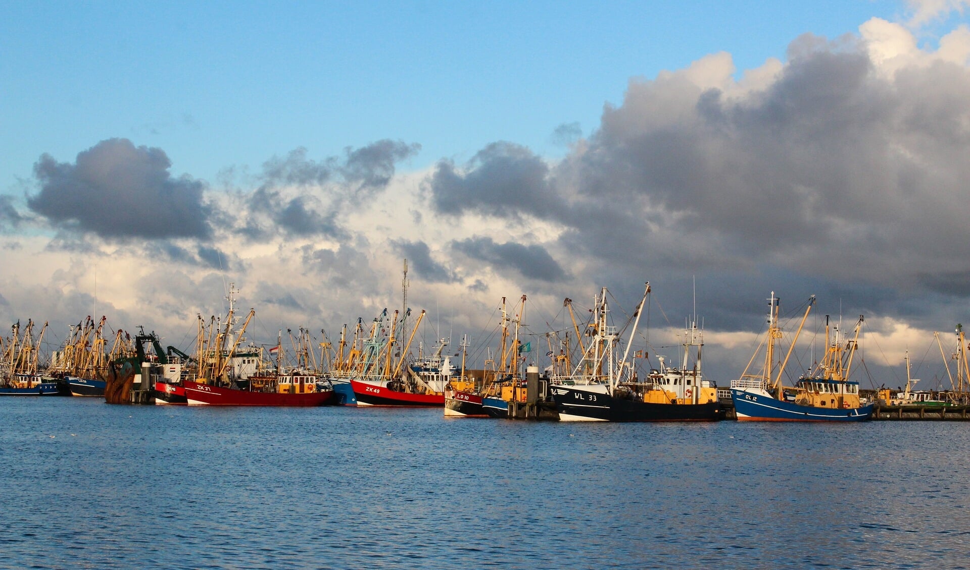 Vissersboten in de haven van Lauwersoog.