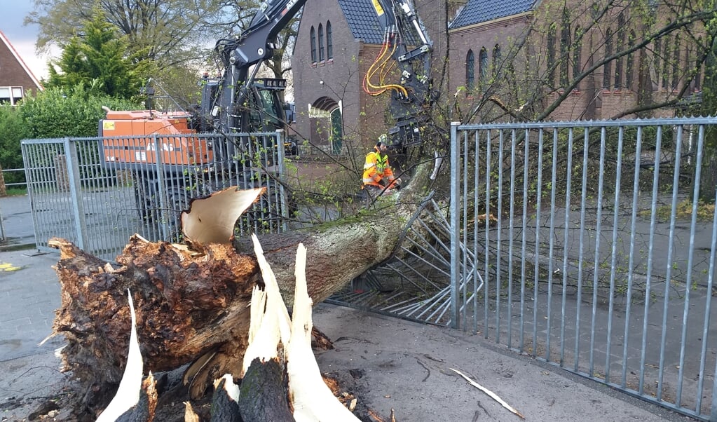 De boom brak af als een luciferhoutje en viel dwars door een hek (foto Bennie Wolbers).
