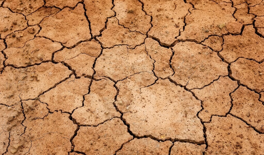 Natuur en landbouw hebben te lijden onder droogte als gevolg van een tekort aan neerslag.