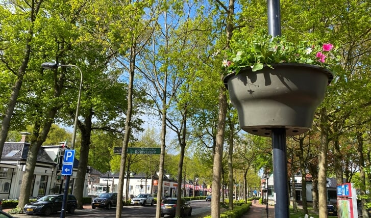 Hanging baskets met fleurige bloemen zorgen voor nog meer sfeer in het centrum van Zuidlaren.