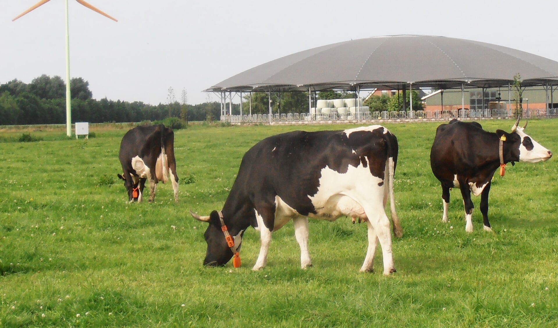 Ook Bio-boerderij Landleven in Onstwedde heeft veel binding met burgers door hun Erfwinkel. (eigen foto)