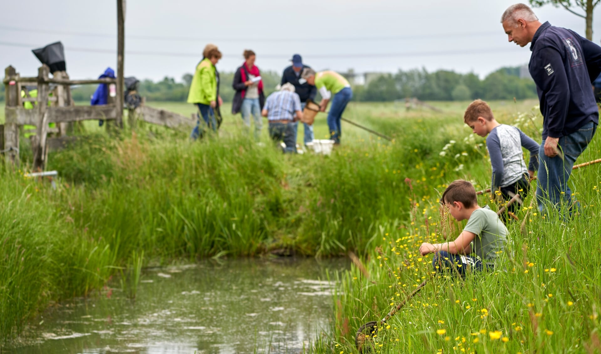 Door waterdiertjes te vangen kan de waterkwaliteit in Drentse sloten worden bepaald. (foto: IVN Natuureducatie)