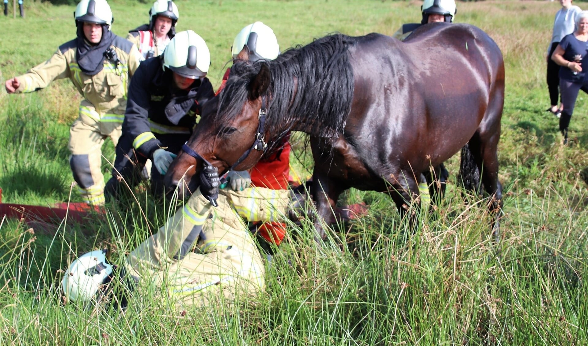 Een brandweerman schoot een paard te hulp en kwam hierbij onder het dier terecht.