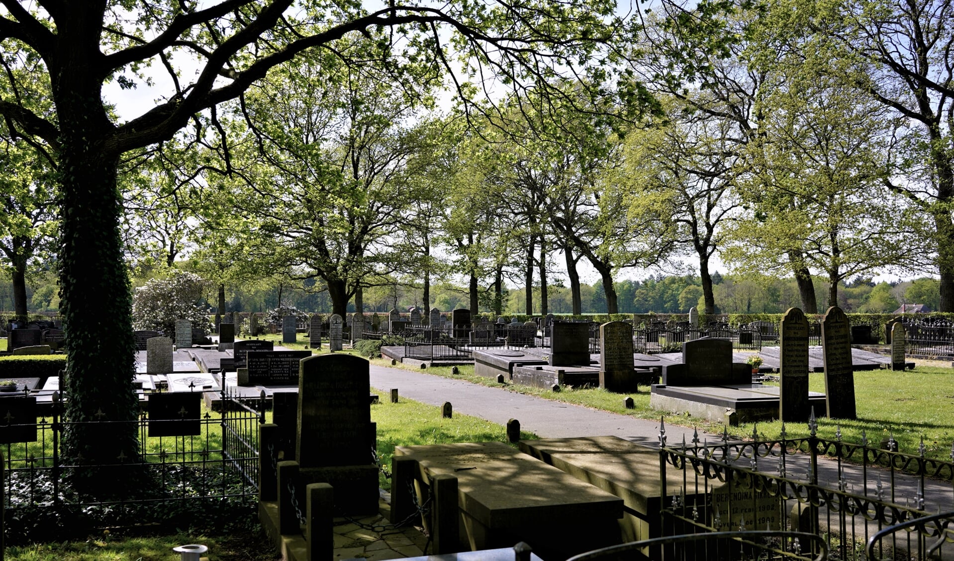De begraafplaats in Noordlaren. (foto Dick Vos)