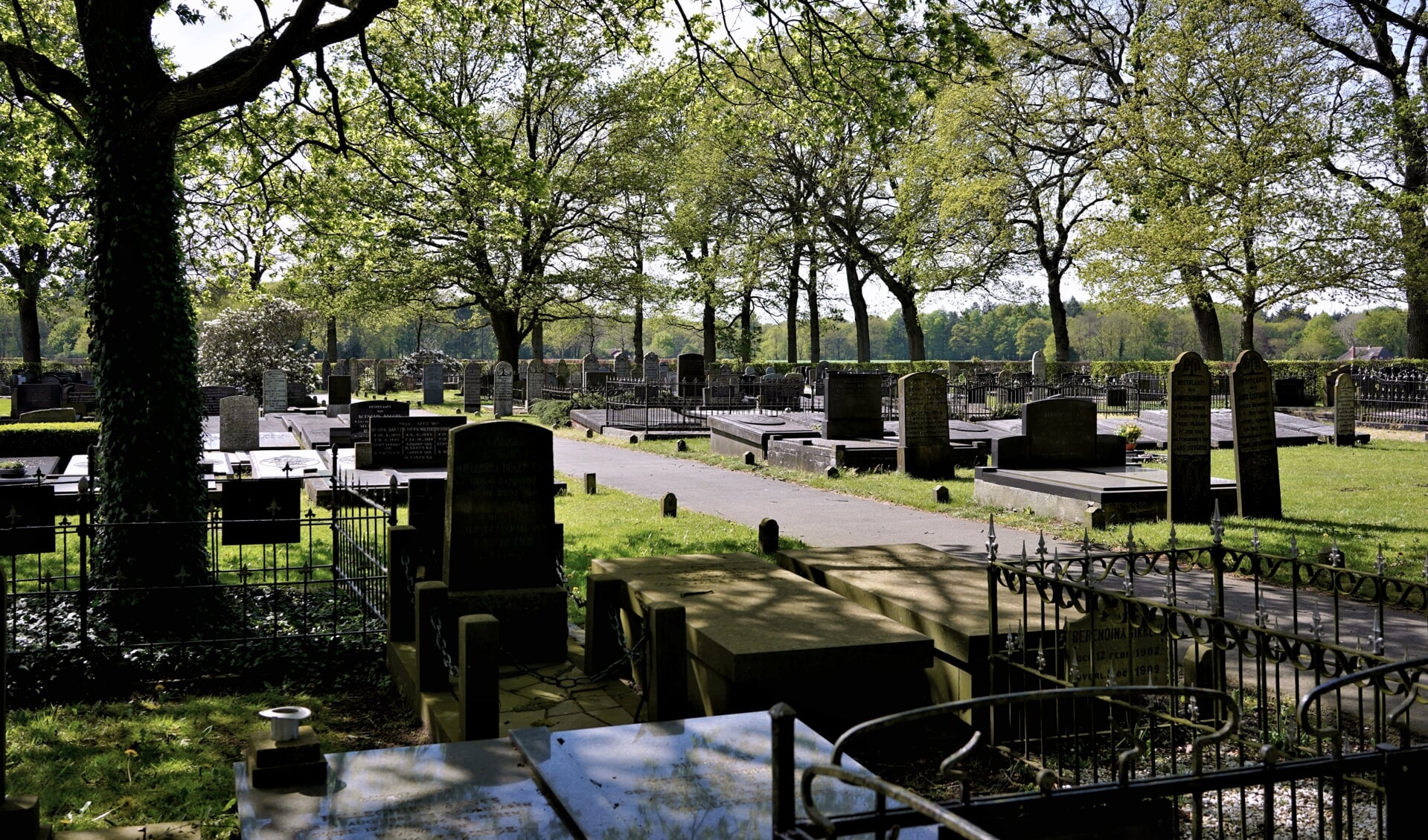 De begraafplaats in Noordlaren, waarover een boek is verschenen. (foto Dick Vos)