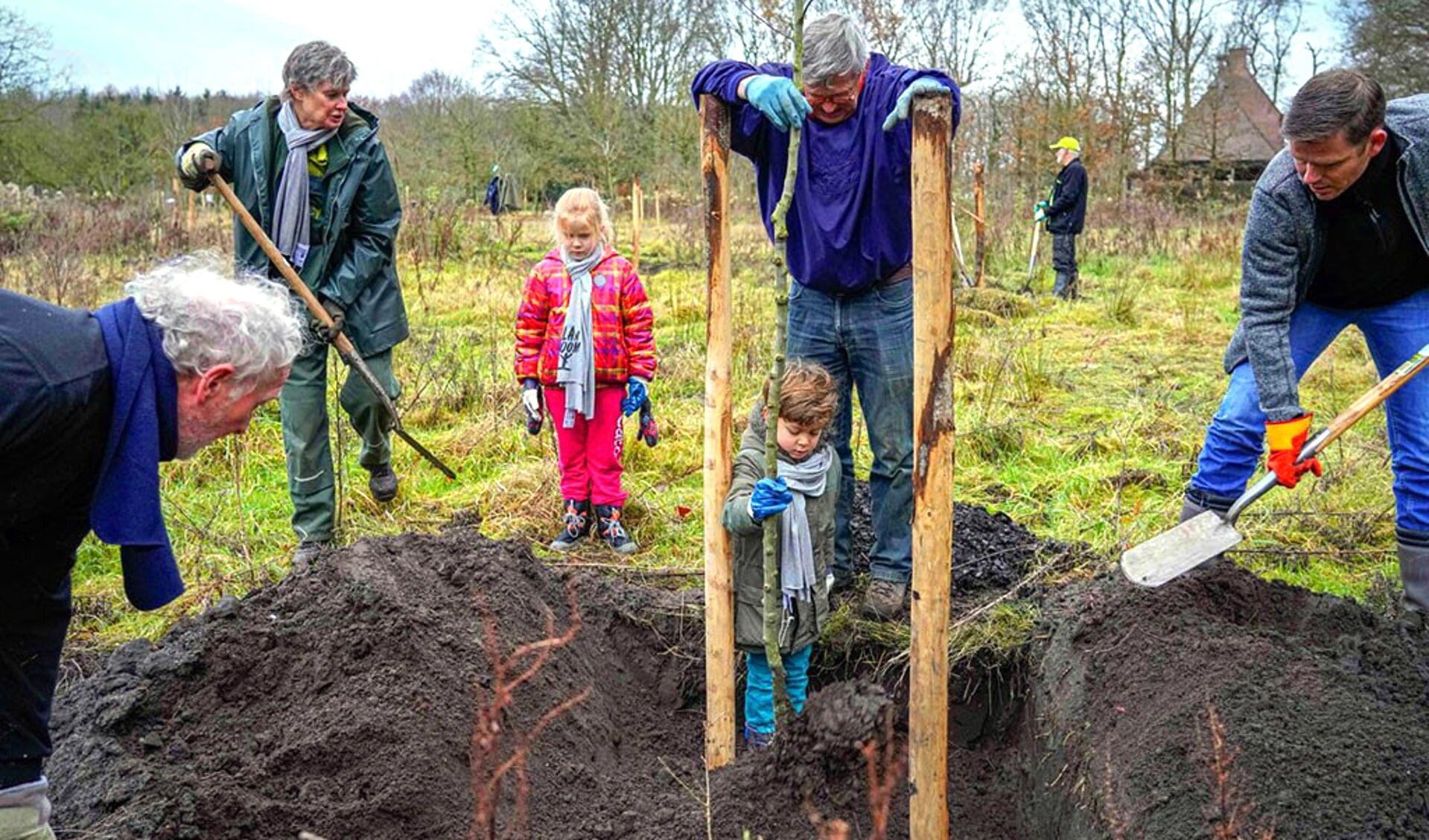 NMF Drenthe wil samen met andere natuurorganisaties meer bomen planten in Drenthe (foto Jack Tillmanns).