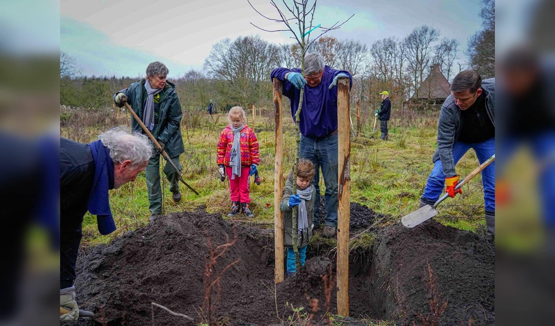 De Natuur en Milieufederatie Drenthe zet zich met Plan Boom al een aantal jaar in om meer bomen te planten. Foto: Jack Tillmanns.