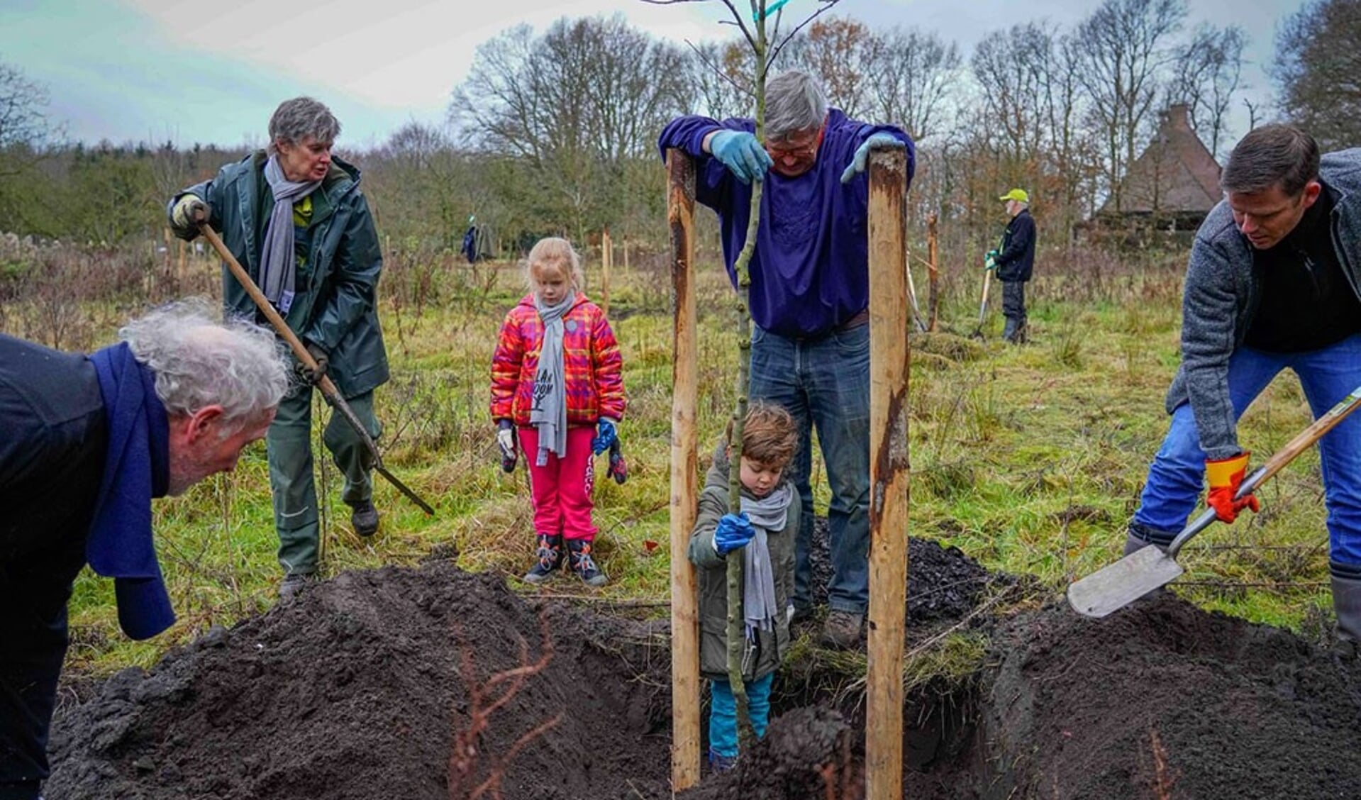 Via Plan Boom zijn er afgelopen jaar 30.000 bomen geplant in Drenthe. (foto: Jack Tillmanns)