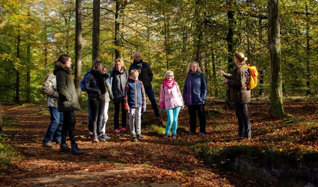 De deelnemers krijgen tijdens de seizoenswandeling uitleg over het leven in de gevarieerde bossen rond het Boomkroonpad. (foto: Ineke van Os)