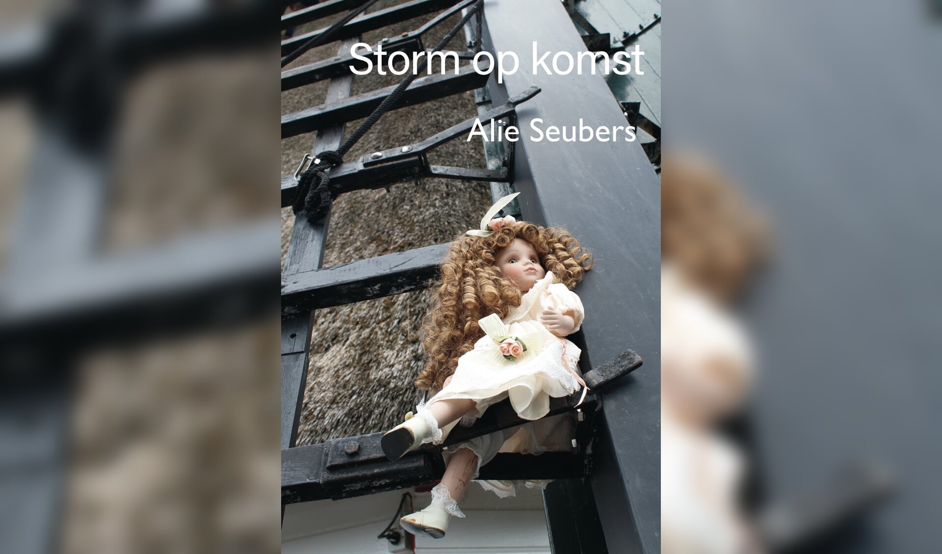 De cover van het nieuwe boek van Alie Seubers.