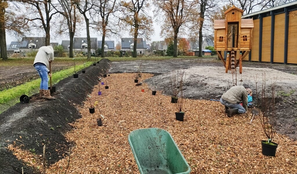 Bij een school in Veenhuizen worden bomen geplant. Foto: Jasper Tiemens