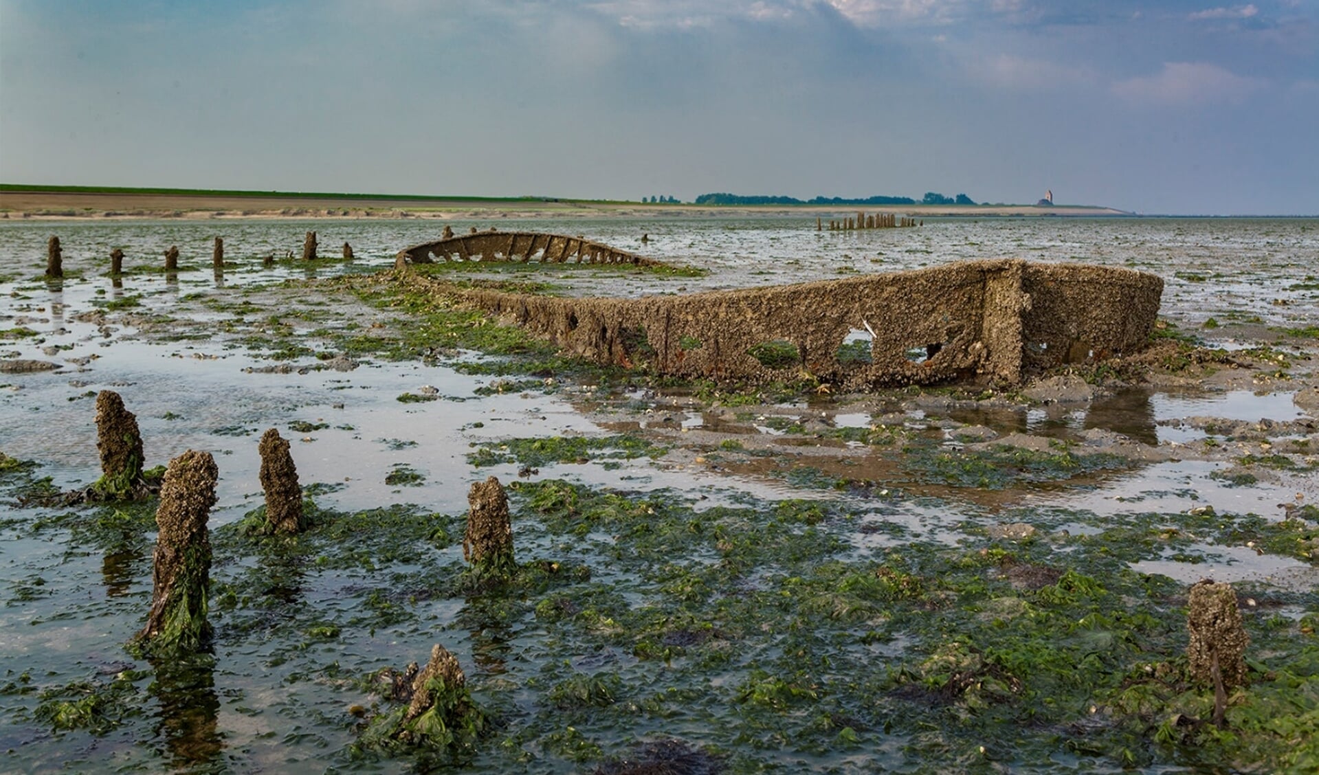 'Oude liefde roest niet' van fotograaf Jan Pitt, een van de deelnemende kunstenaars.