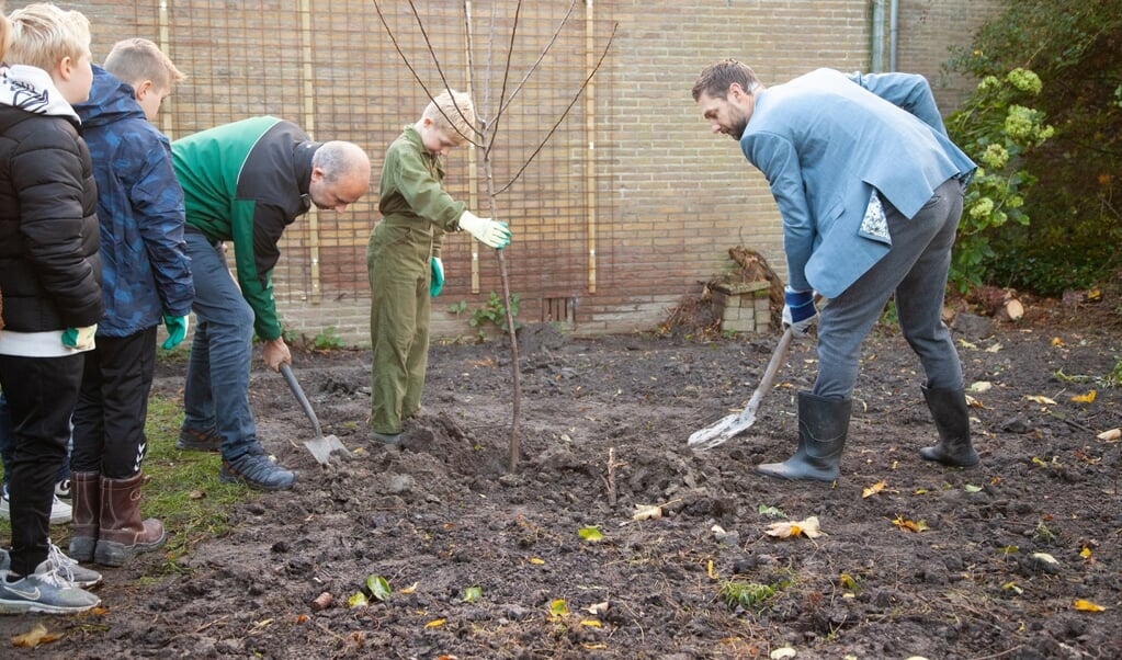 Johan Hamster en  Elmar Schraa hanteren de schop om de perenboom te planten.