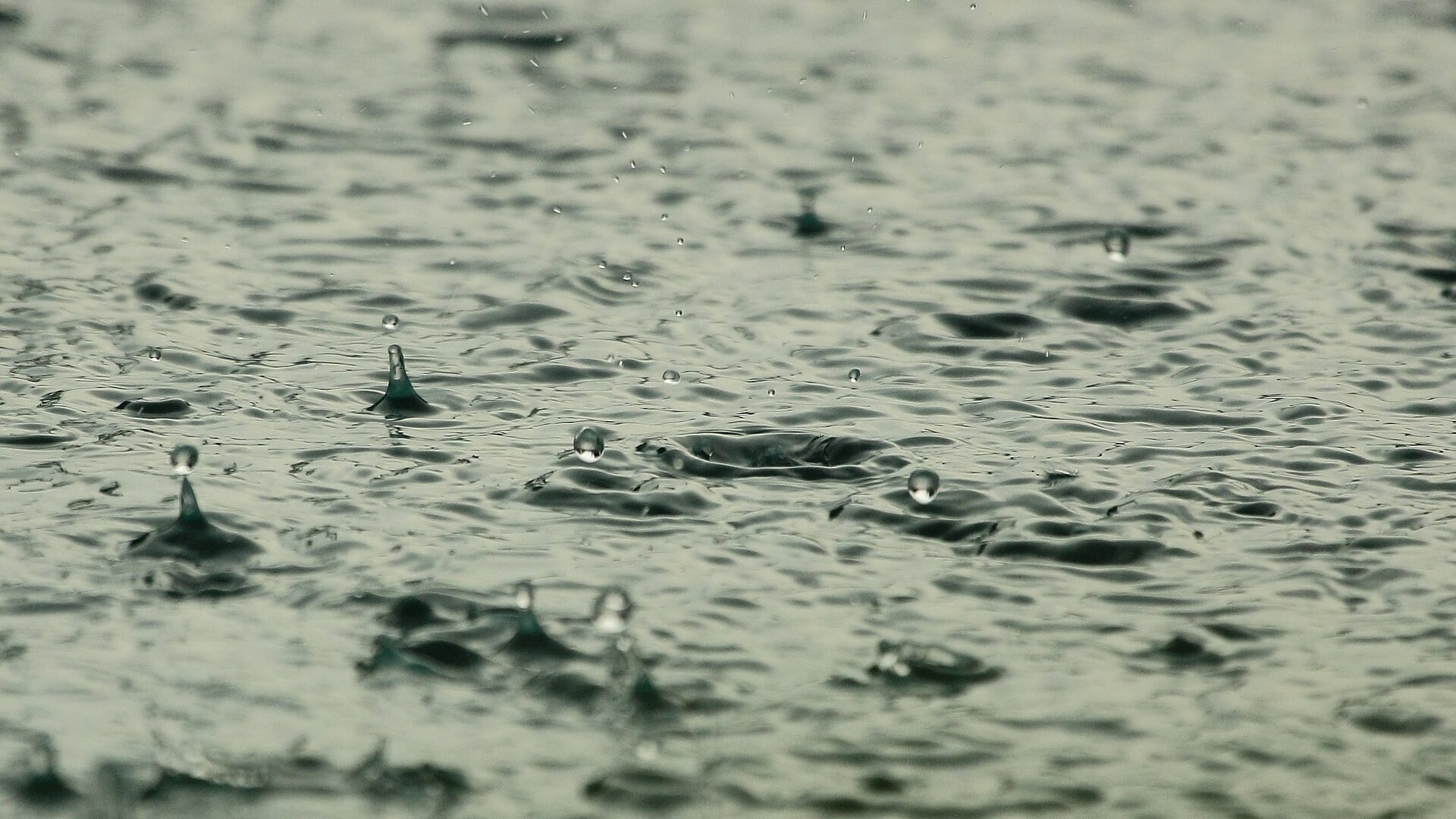 Met de bijdrage van het Rijk kunnen maatregelen om wateroverlast te voorkomen versneld worden uitgevoerd.