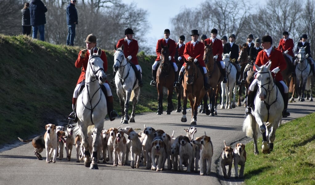 De honden voeren de groep paarden aan tijdens de traditionele Slipjacht rondom Eext. (foto: Normen Vink)