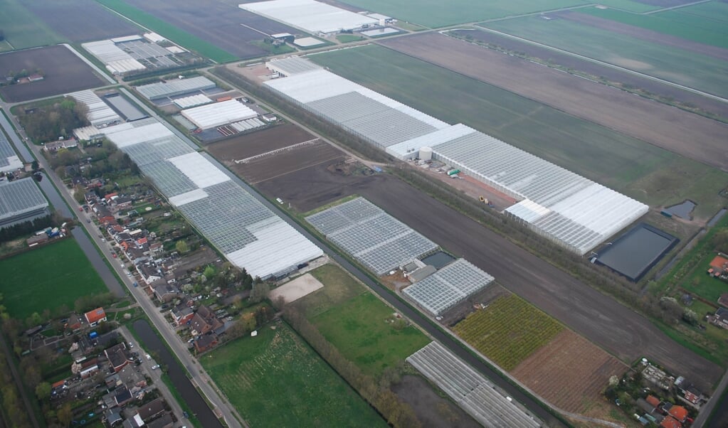Het tuinbouwgebied in Sappemeer-Noord, waar omwonenden hinder zouden hebben van de nieuwe manier van stoken.