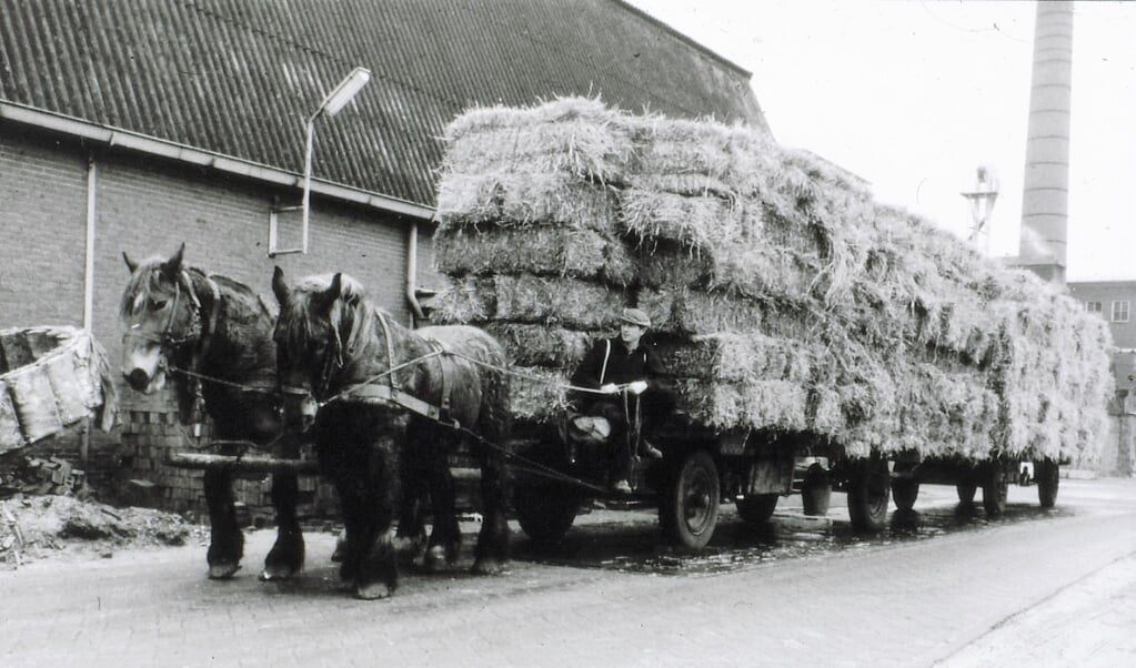 De aanvoer van stro naar een strokartonfabriek in Pekela. 