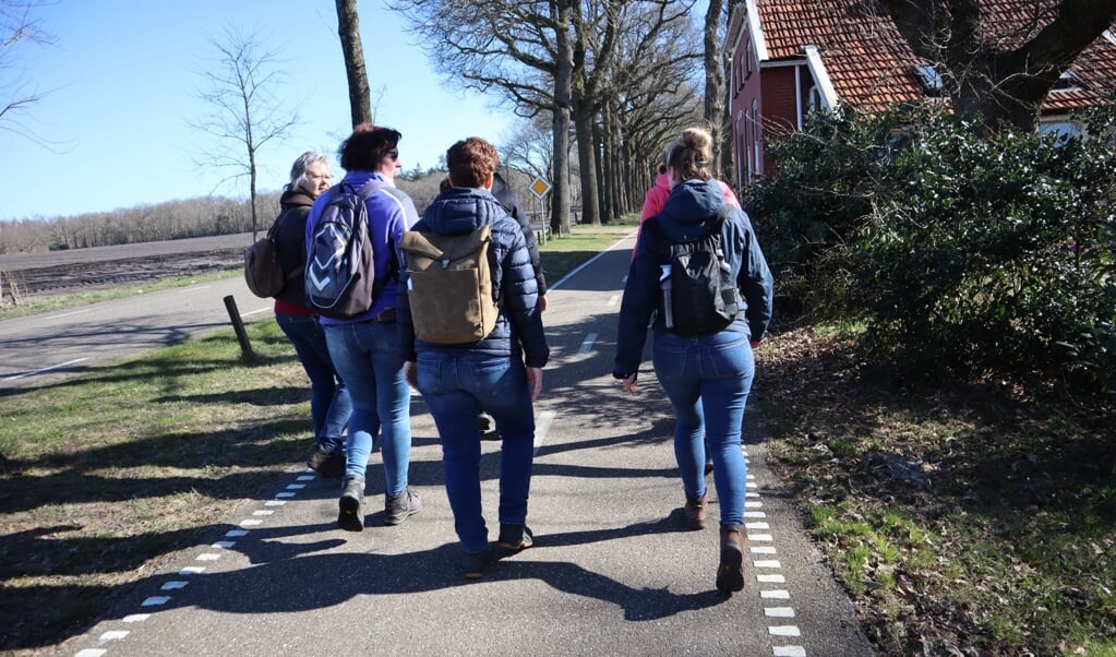 Wandelaars op de Sellingerstraat op weg naar Ter Wisch. (foto: ReumActief) 