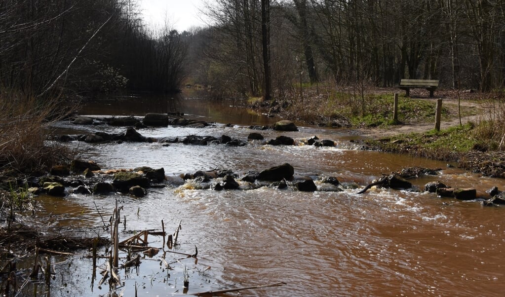 De voorde in de Ruiten Aa met kabbelend water van stroomversnellinkjes. (foto: Staatsbosbeheer)