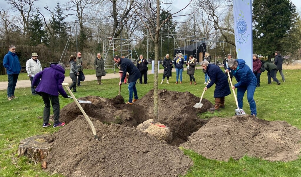 René van der Weide plant de boom samen met Luc de Wit, ambassadeur 100x Trees4Life uit Assen en de duo voorzitters van Soroptimistclub Emmen Marry Heldring en Isabel Prins.