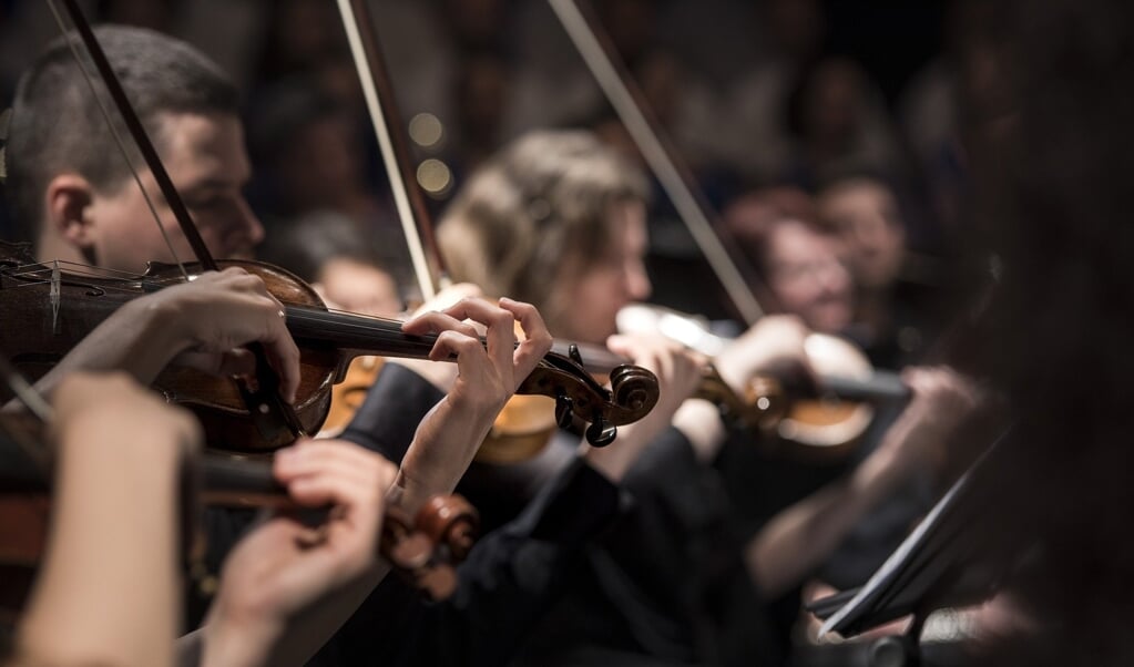 De provincie Groningen wil vernieuwing in de klassieke muzieksector stimuleren.