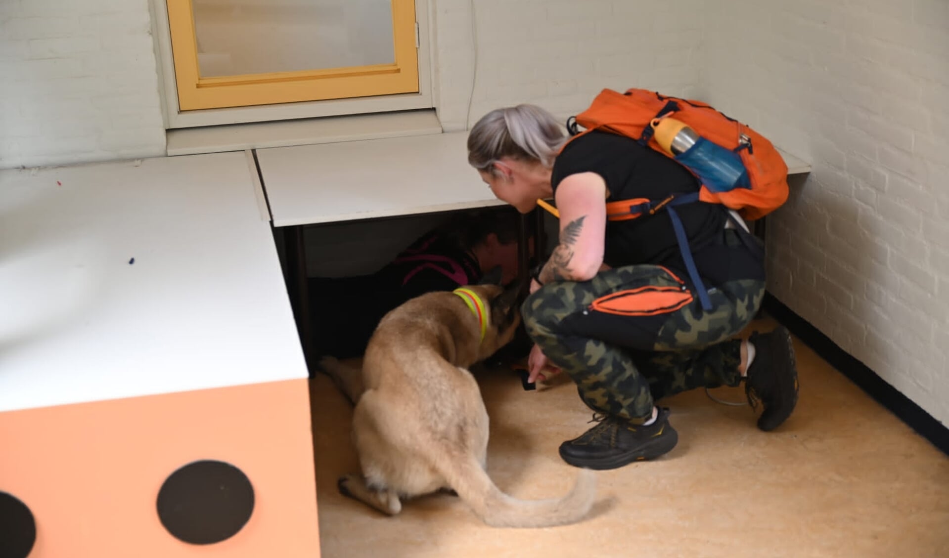 Marlies Trinks van Skye Search Dogs met haar reddingshond in OBS Schuilingsoord. (foto Persbureau Drenthe/Herman van Oost)