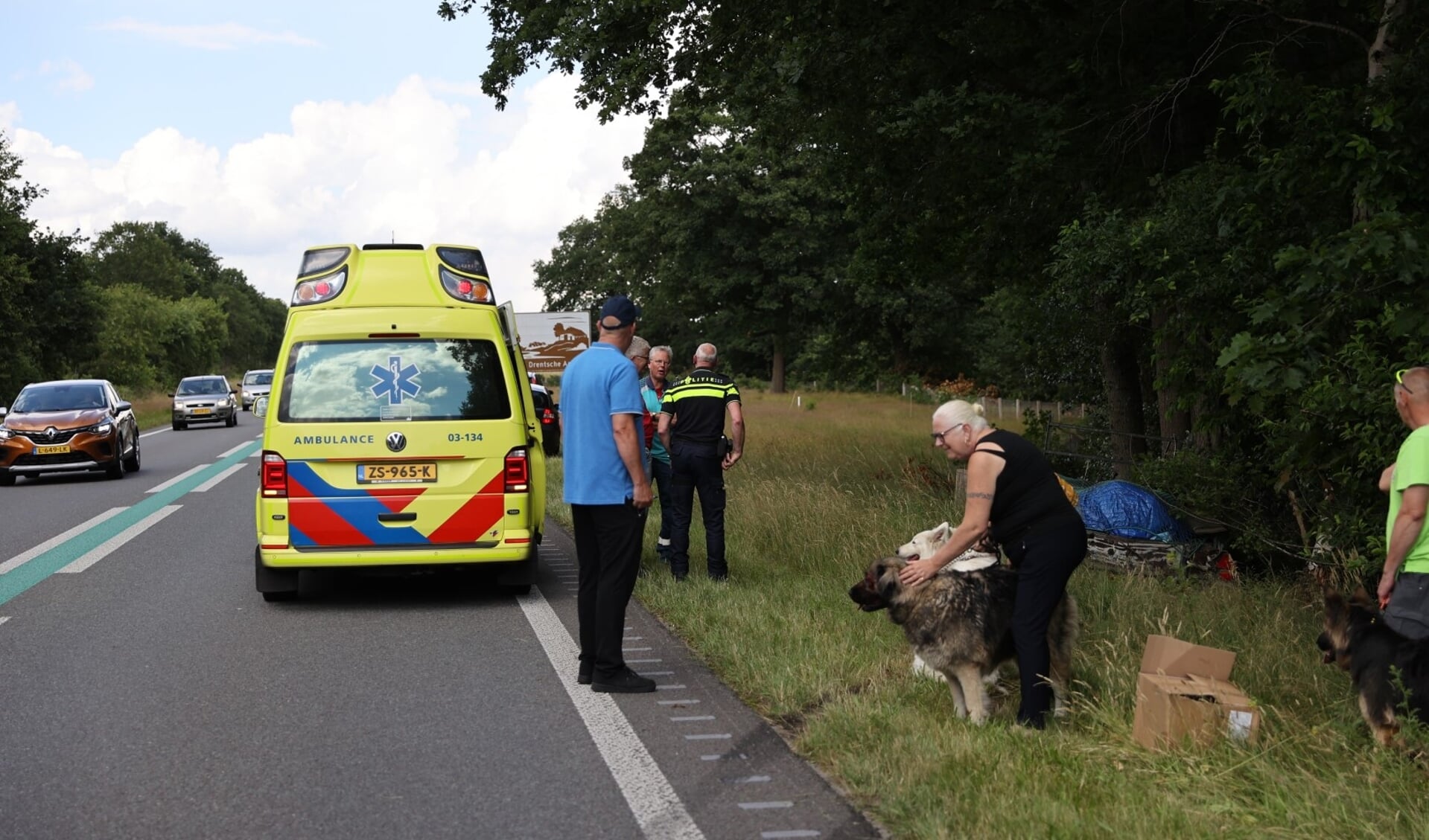 De honden worden opgevangen na het ongeval bij Gasselte. (foto: Persbureau Drenthe/Herman van Oost)