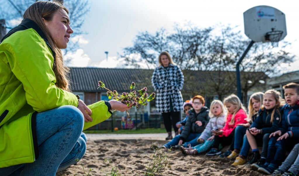 De provincie Drenthe hoopt schoolpleinen om te kunnen zetten tot groene en gezonde speel- en leeromgevingen. (foto: IVN/Rick Mellink)