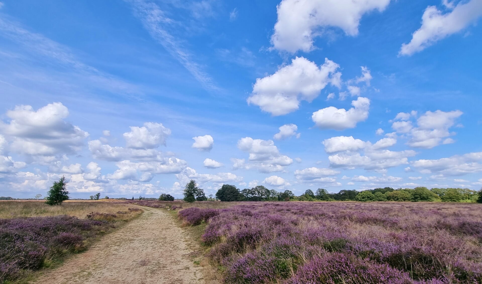 Het Balloërveld werd in vroeger tijden bewoond. (foto: Nationaal Park Drentsche Aa)