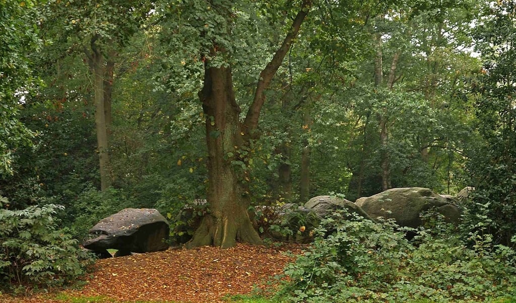 Hunebed D27 bij Borger. (foto: Het Drentse Landschap/Hans Dekker)