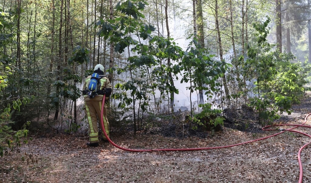 De brandweer had het bosbrandje snel onder controle.