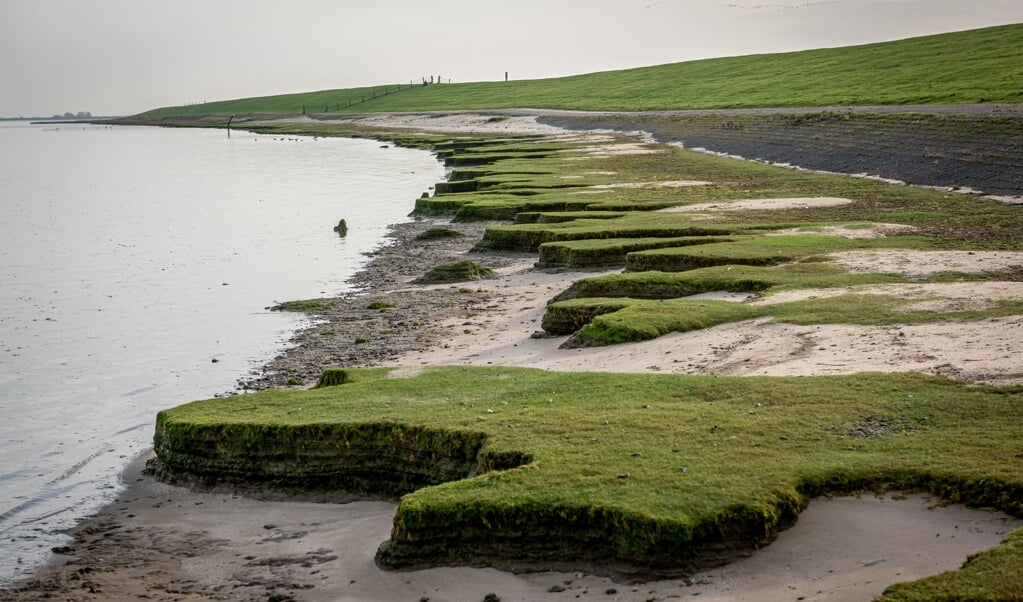 De zeedijk tussen Delfzijl en de Duitse grens moet worden versterkt (foto Waterschap Hunze en Aa's).