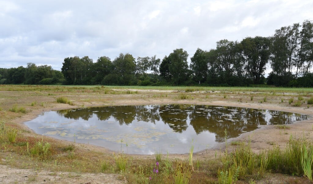 ’t Kosters Kampke moet grotendeels open blijven om de natuur te laten ontwikkelen. (foto: Staatsbosbeheer)