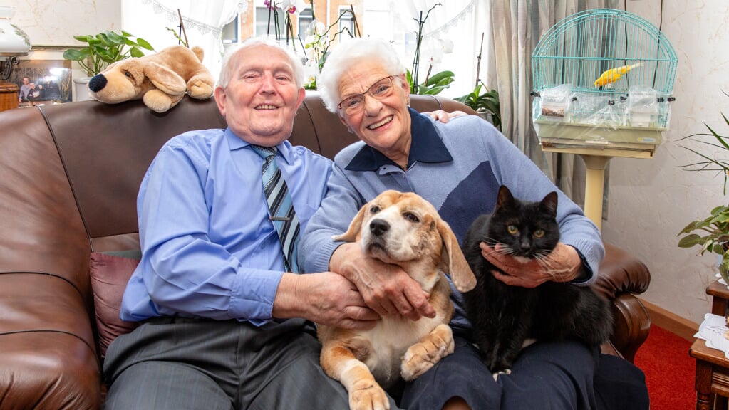 Het jubilerende echtpaar Harm en Hotske Meijer met hun Beagle en een van hun katten. (foto: Auniek Klijnstra)