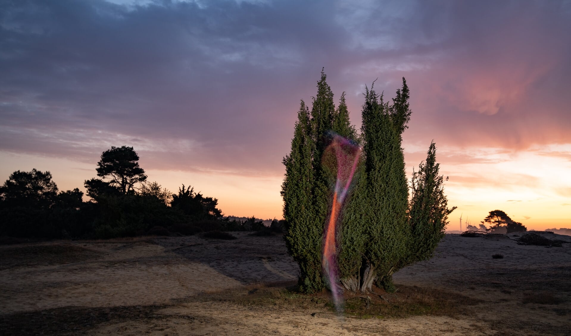 De buitententoonstelling Into Nature: Time Horizons vindt dit jaar plaats rond Drouwen en het LOFAR-gebied. (foto: Heleen Haijtema)