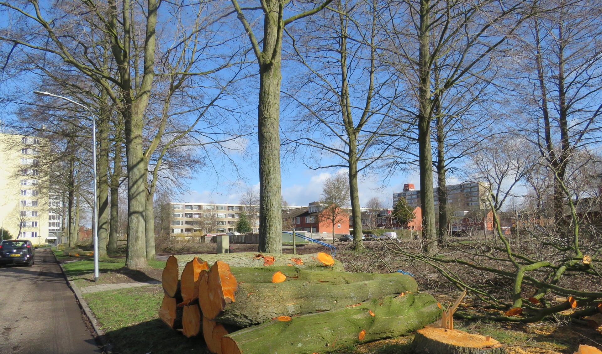 Hopen met dikke boomstammen. Doordat ze in kleine delen zijn gezaagd, leek het meer dan het eigenlijk waren.