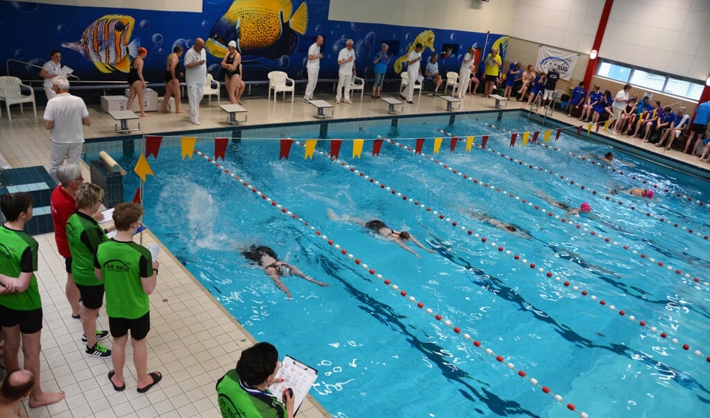 Zwemmers van De Brug in actie. Foto: Marinus Hol