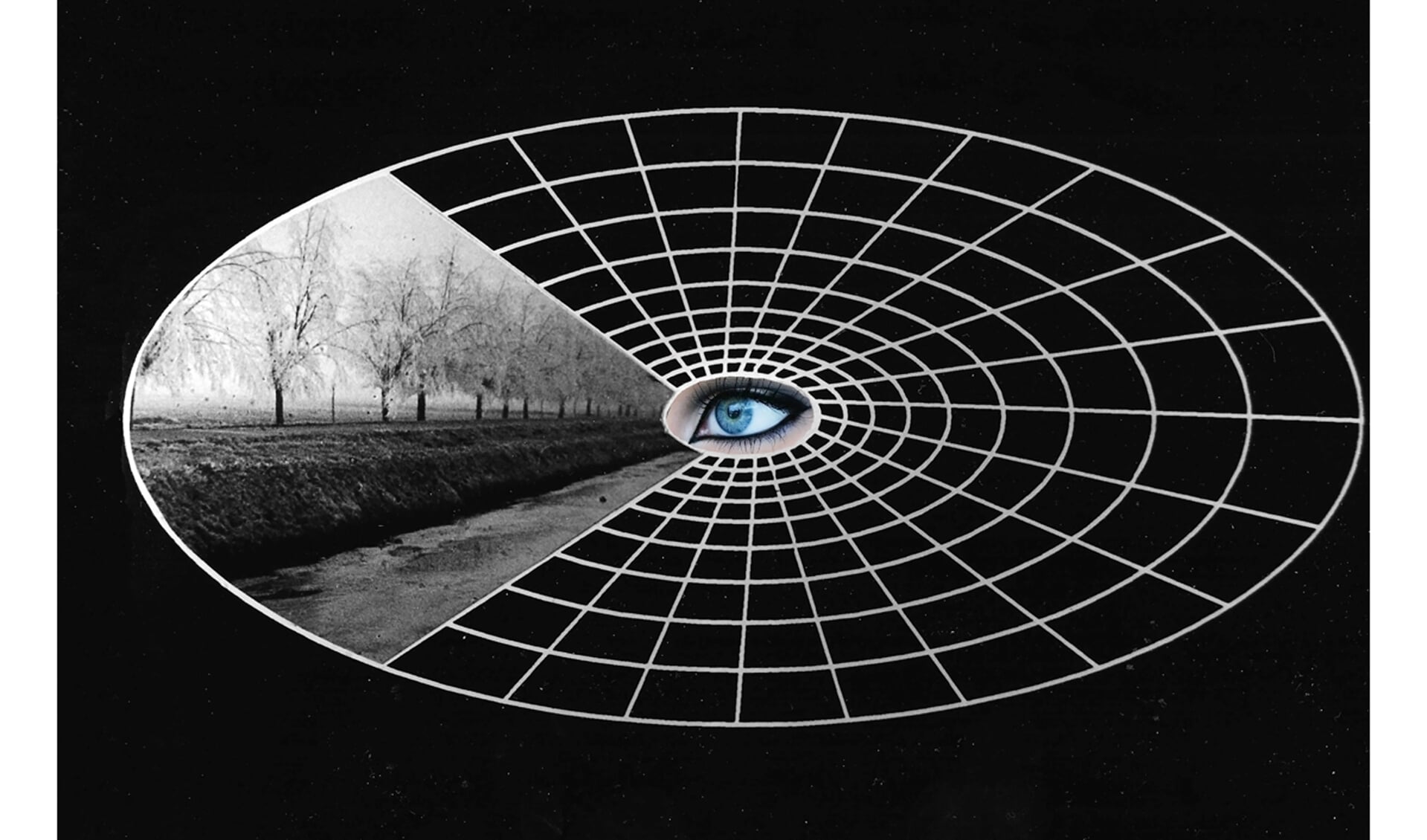 De foto die GiAF-lid Geert Vos maakte met betrekking tot het thema 'Oog in Beeld'.