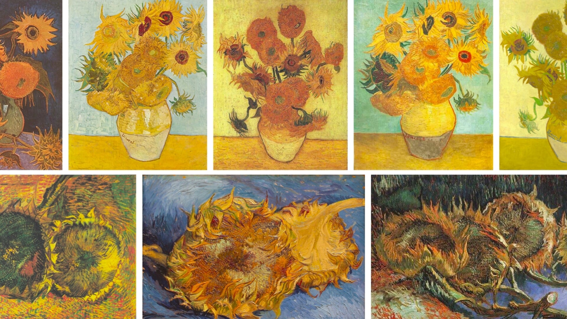 Zonnebloemen van Van Gogh. Volgens de schilder 'een symfonie in blauw en geel'.