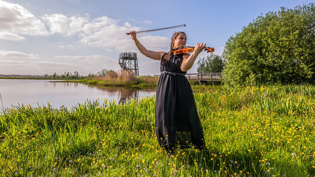 Op verschillende locaties in natuurgebied 't Roegwold is tijdens Roeg Klassiek muziek te zien en te horen. (foto: Wilco van der Laan)