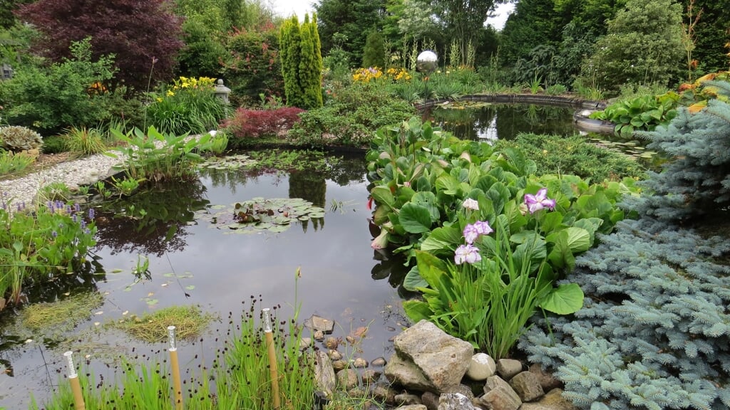 De tuin van Berendina Visser aan de Poeltjeslaan in Zuidbroek is open op 18 juni.