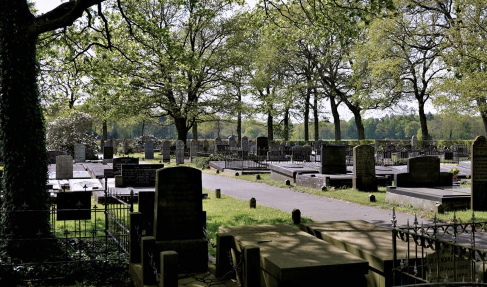 De begraafplaats in Noordlaren. 