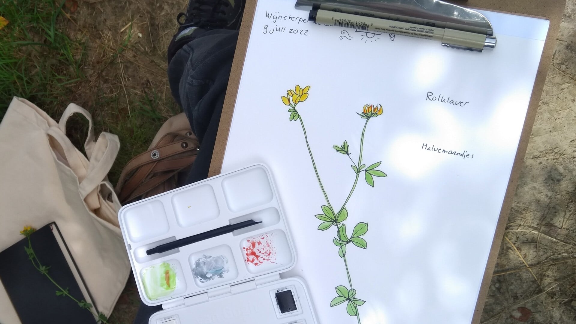 Mensen kunnen in de workshop van Mirja Brandorff leren, hoe ze met schetsen en aantekeningen de seizoenen kunnen volgen in een natuurdagboek.