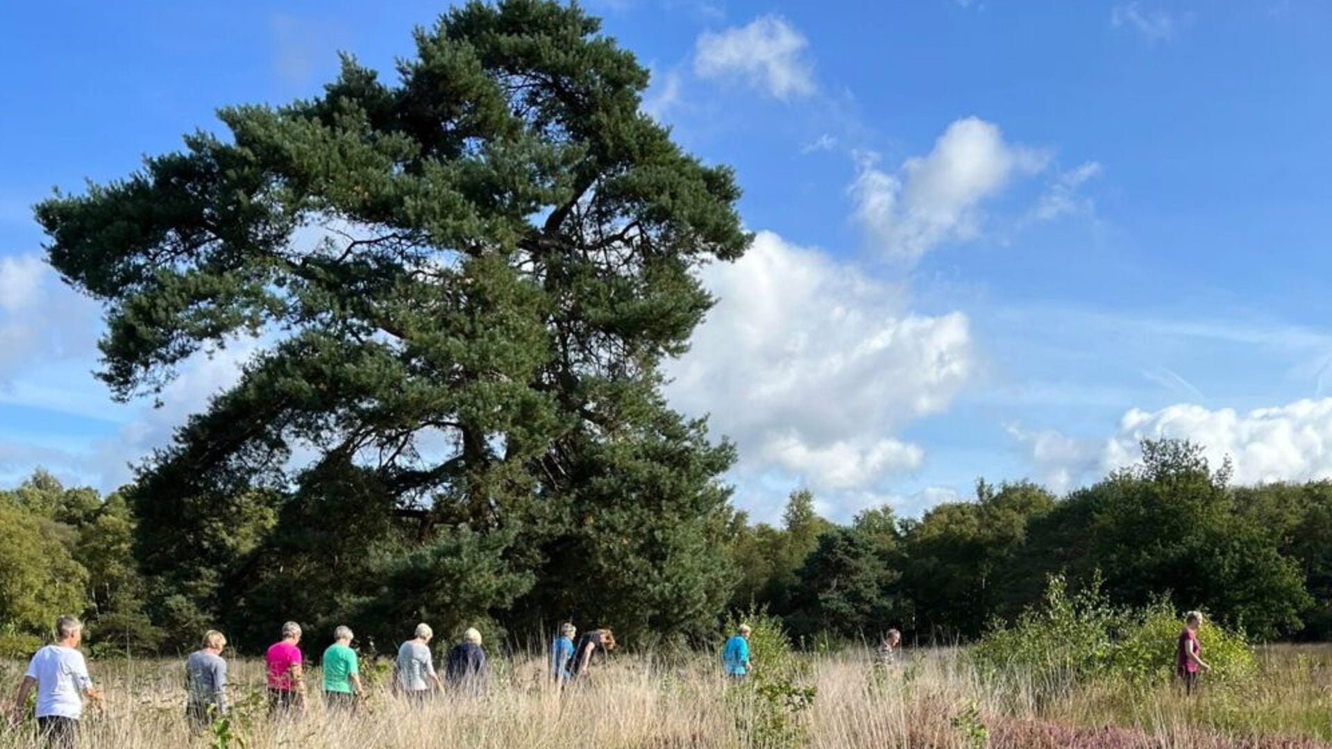 Ook in Westerbork is het initiatief genomen om te starten met een groep Gezond Natuur Wandelen.