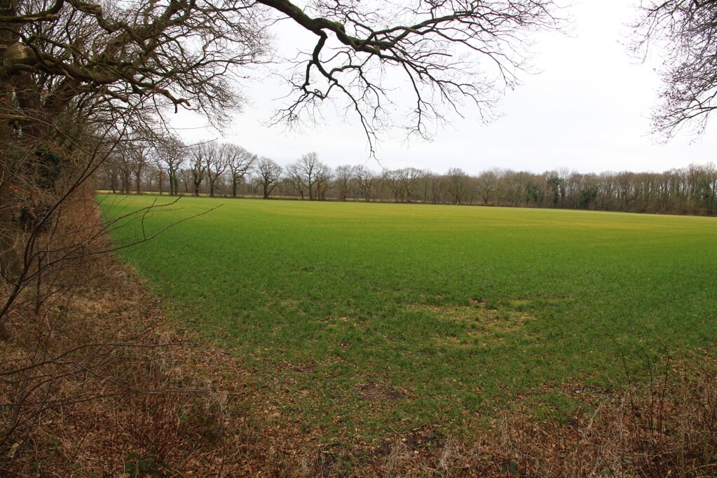Het terrein in Gieten-Zuid waar de gemeente Aa en Hunze het oog op heeft laten vallen.