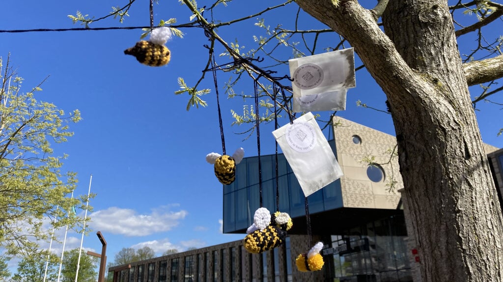 De bijtjes en zakjes zaden hangen in de bomen bij het Huis van Cultuur en Bestuur in Hoogezand. 