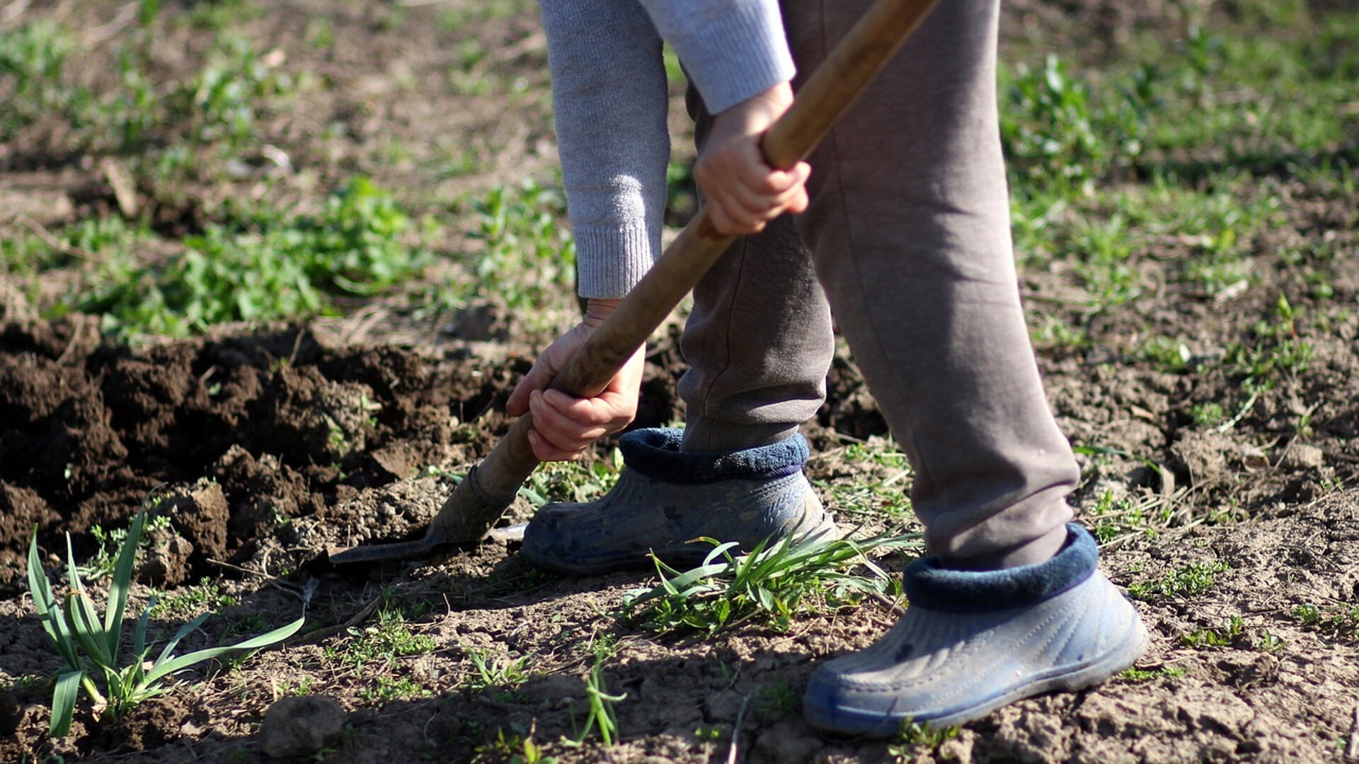 Bij het spitten van de tuin is een scherpe spade nodig. Vrijwilligers van het Repair Café Westerbork slijpen ook tuingereedschap.