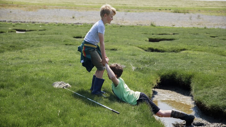 Een van de wandelingen is een struuntocht voor de jeugd in polder Breebaart (foto Groninger Landschap).
